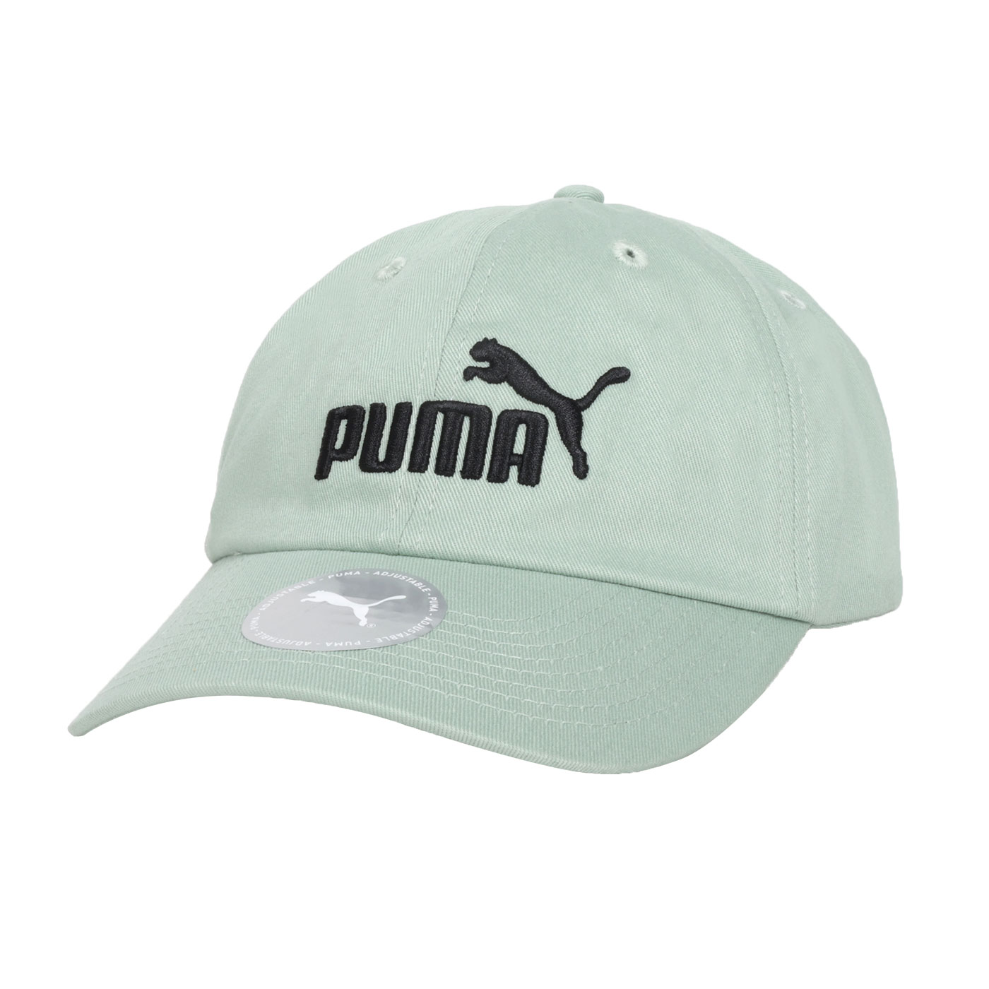 PUMA 基本系列 No.1 棒球帽  02435711 - 綠黑